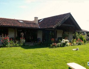 , 246m2 dans Cluj-napoca