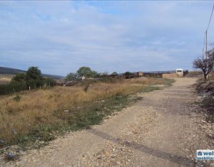 Terrain à vendre dans Cluj-napoca, zone Iris