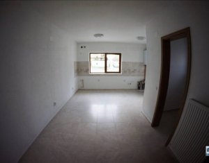 Maison 5 chambres à louer dans Cluj-napoca, zone Andrei Muresanu
