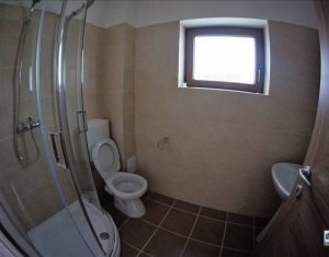 Maison 5 chambres à louer dans Cluj-napoca, zone Andrei Muresanu