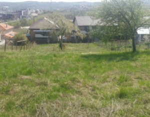 , 700m2 on Cluj-napoca, Zóna Borhanci