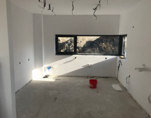 Maison 4 chambres à vendre dans Cluj-napoca, zone Borhanci