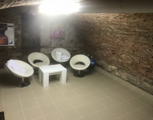 Maison 2 chambres à vendre dans Cluj-napoca, zone Centru