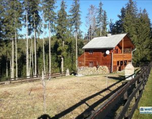 Maison 5 chambres à vendre dans Belis