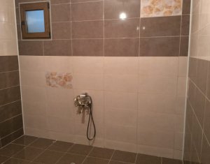 Maison 9 chambres à vendre dans Cluj-napoca, zone Someseni