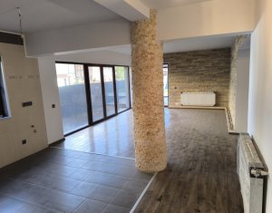 Maison 9 chambres à vendre dans Cluj-napoca, zone Someseni