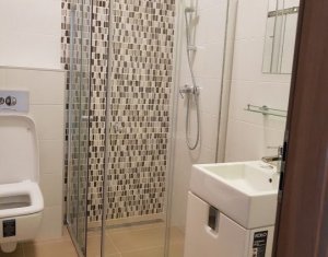 Appartement 3 chambres à louer dans Cluj-napoca