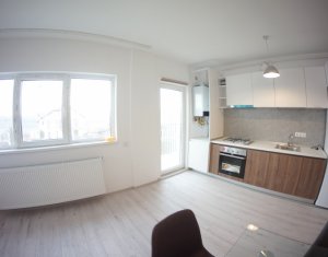 Appartement 2 chambres à louer dans Cluj-napoca, zone Europa