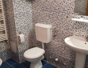 Appartement 2 chambres à louer dans Cluj-napoca