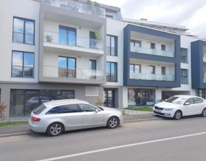 Lakás 2 szobák kiadó on Cluj-napoca, Zóna Intre Lacuri