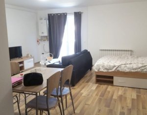 Appartement 1 chambres à louer dans Cluj-napoca, zone Andrei Muresanu