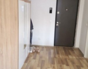 Appartement 1 chambres à louer dans Cluj-napoca, zone Andrei Muresanu