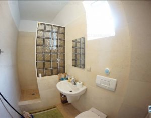 Appartement 3 chambres à louer dans Cluj-napoca, zone Andrei Muresanu