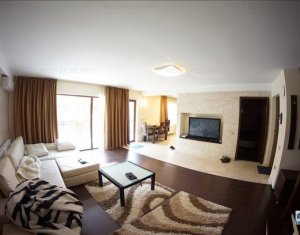 Appartement 3 chambres à louer dans Cluj-napoca, zone Andrei Muresanu