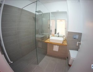 Appartement 2 chambres à louer dans Cluj-napoca, zone Europa