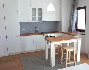 Appartement 2 chambres à louer dans Cluj-napoca, zone Europa