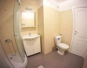 Appartement 2 chambres à louer dans Cluj-napoca, zone Gheorgheni