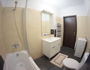 Appartement 2 chambres à louer dans Cluj-napoca, zone Europa
