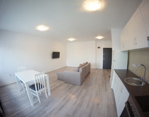 Appartement 2 chambres à louer dans Cluj-napoca, zone Europa