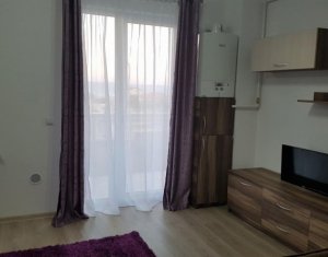 Appartement 1 chambres à louer dans Cluj-napoca, zone Andrei Muresanu