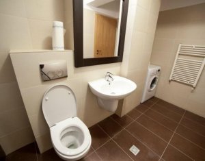 Appartement 2 chambres à louer dans Cluj-napoca, zone Manastur