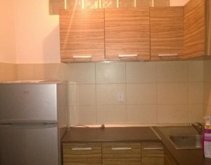 Appartement 1 chambres à louer dans Cluj-napoca
