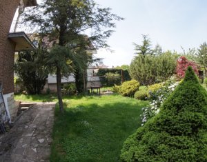Bureau à louer dans Cluj-napoca, zone Gheorgheni