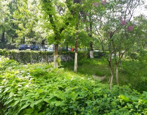 , 47m2 dans Cluj-napoca, zone Gheorgheni
