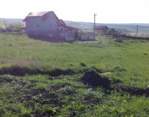 Terrain à vendre dans Cluj-napoca