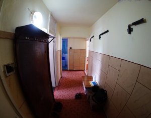 Appartement 2 chambres à vendre dans Cluj-napoca, zone Plopilor