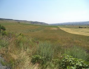 , 2000m2 dans Cluj-napoca