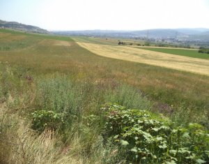 Terrain à vendre dans Cluj-napoca