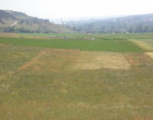 Terrain à vendre dans Cluj-napoca