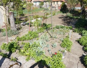Terrain à vendre dans Cluj-napoca, zone Iris