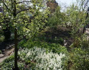 Terrain à vendre dans Cluj-napoca, zone Iris