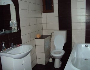 Appartement 1 chambres à louer dans Cluj-napoca, zone Buna Ziua
