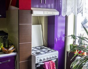 Appartement 2 chambres à vendre dans Cluj-napoca, zone Intre Lacuri