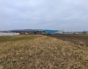 , 3500m2 on Apahida