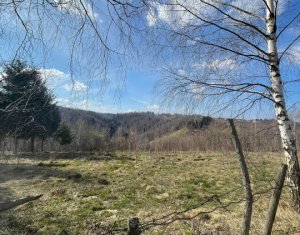 Telek eladó on Rasca