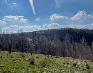 Telek eladó on Rasca
