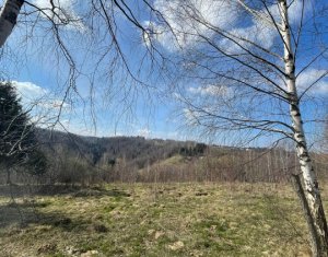 Telek eladó on Rasca