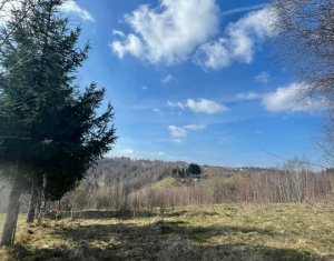 Telek eladó on Rasca