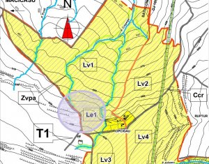 Teren in Padureni - Chinteni, 5800 mp, intravilan, Lv1 - viitoare constructii