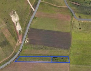 , 2900m2 in Floresti