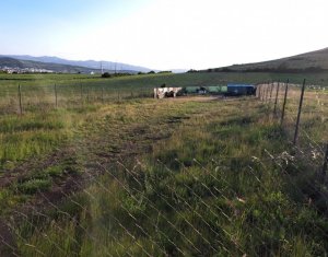Teren de vanzare – 900 mp si 2000 mp, zona centura Donath - Floresti