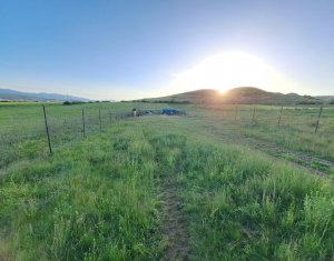 Teren de vanzare – 900 mp si 2000 mp, zona centura Donath - Floresti