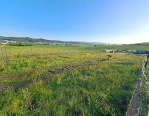 Teren de vanzare – 900 mp si 2000 mp, zona centura Donath - Floresti