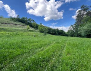 Telek eladó on Savadisla