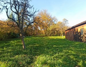 Ház 4 szobák eladó on Cluj-napoca, Zóna Dambul Rotund