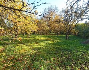 Ház 4 szobák eladó on Cluj-napoca, Zóna Dambul Rotund